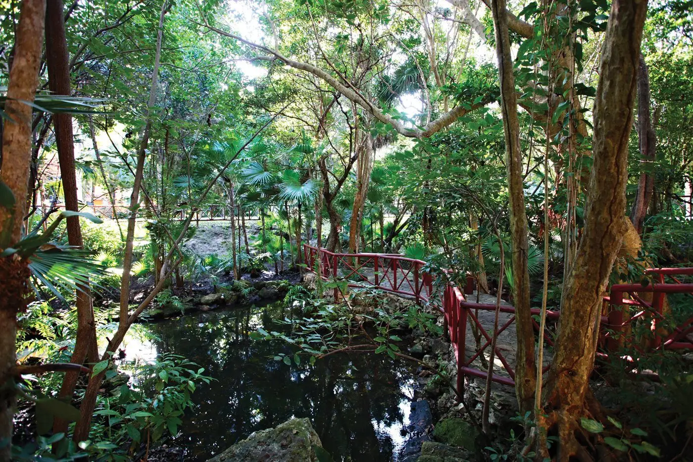 BAHIA-COBA-3