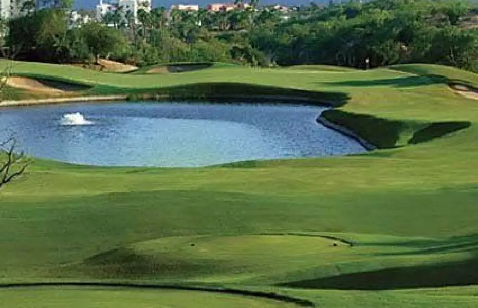 CABO-REAL-NEW-2