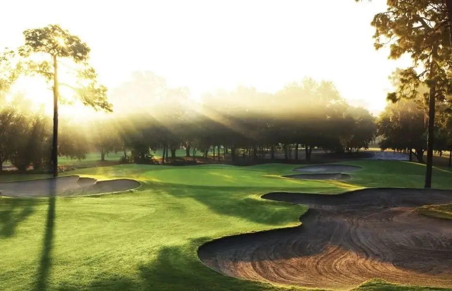 COPPERHEAD-NEW-4