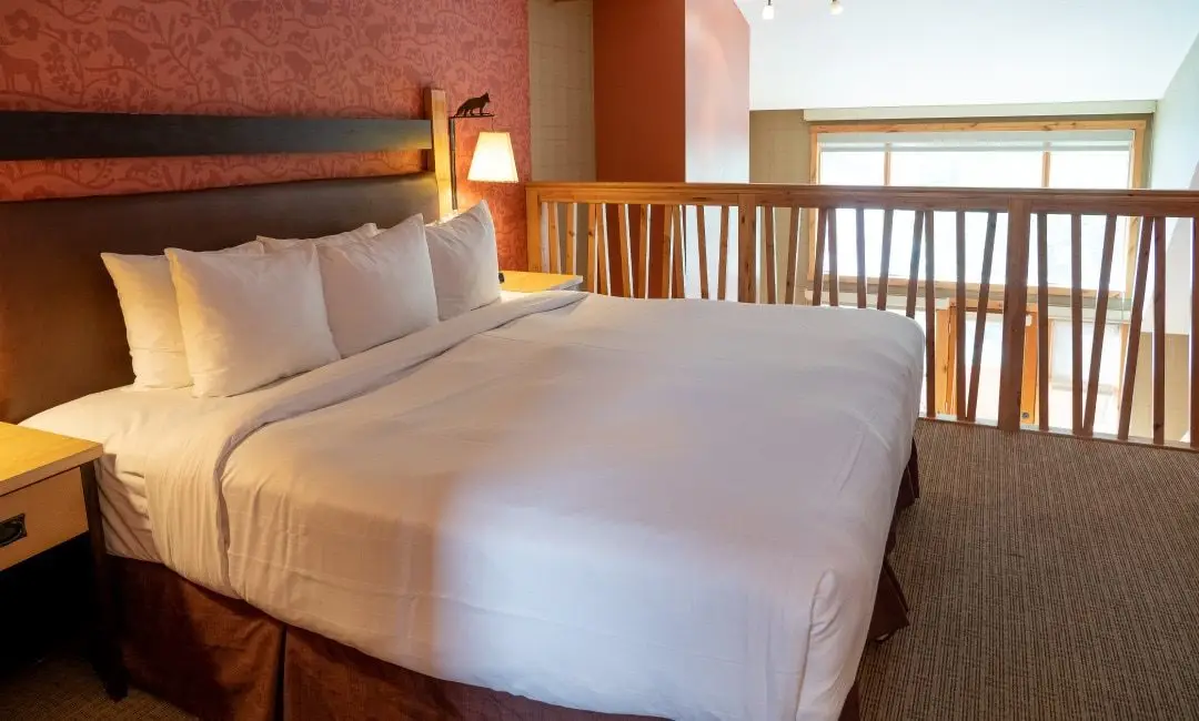 FOX-2-PremKingLoft1Bed-1