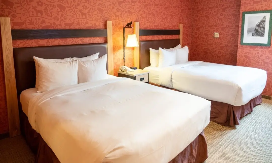 FOX-8-Sup1BedSuite