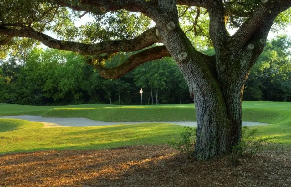 OAKS-GOLF-NEW-2