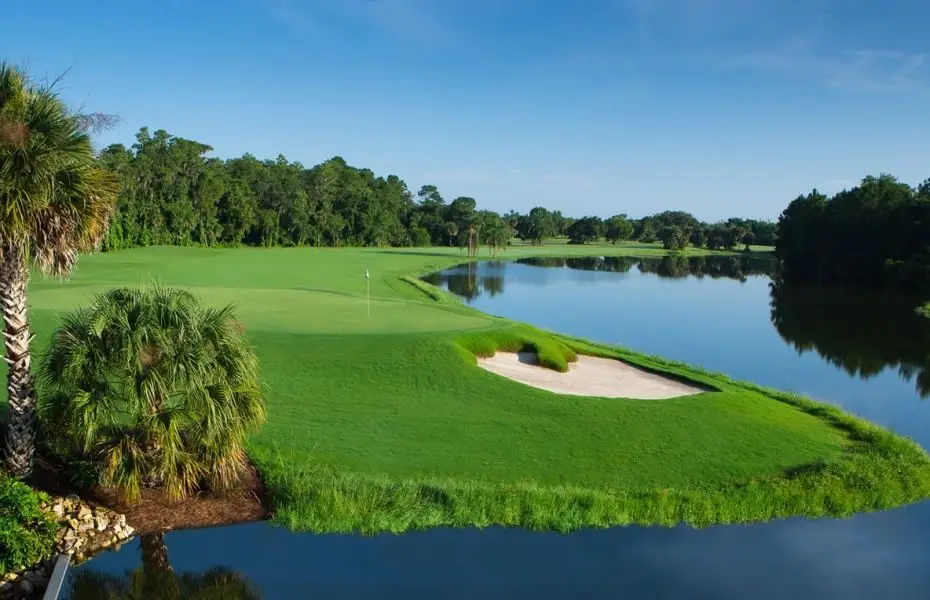 PALM-NEW-5