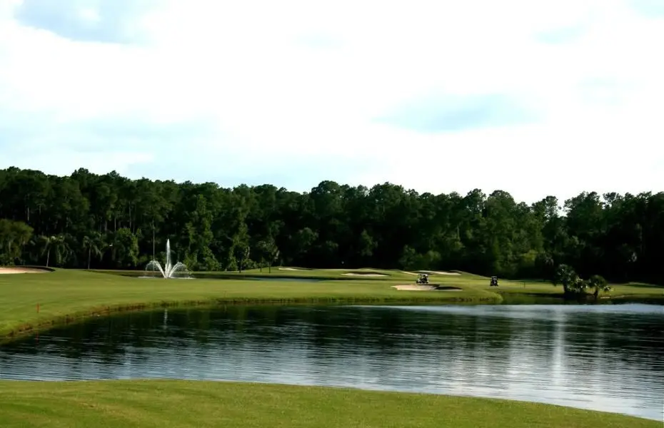 PALM-NEW-6