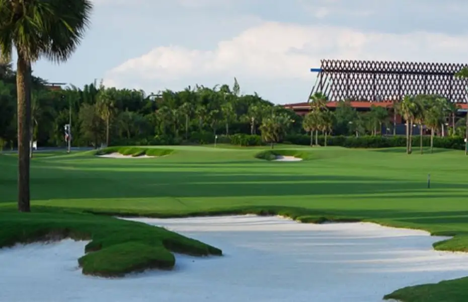 PALM-NEW-8