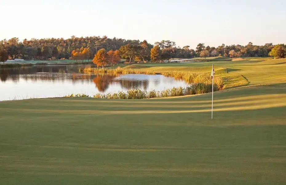 SHINGLE-CREEK-NEW-17