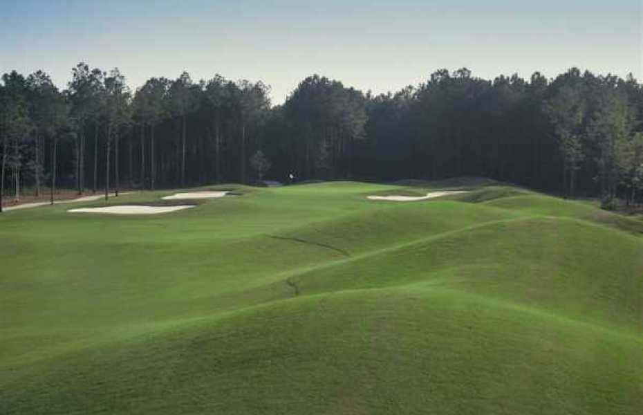 THE-CYPRESS-NEW-3