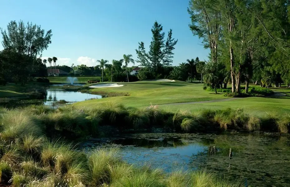 THE-PALMER-NEW-1