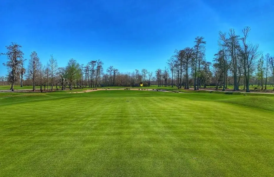 TPC-LOUISIANA-NEW-8