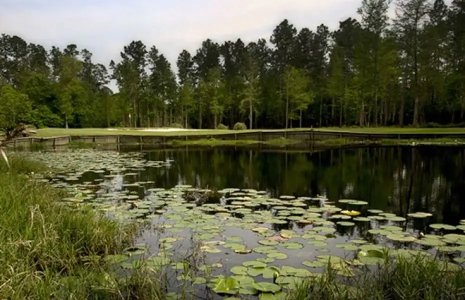 WINDANCE-NEW-4