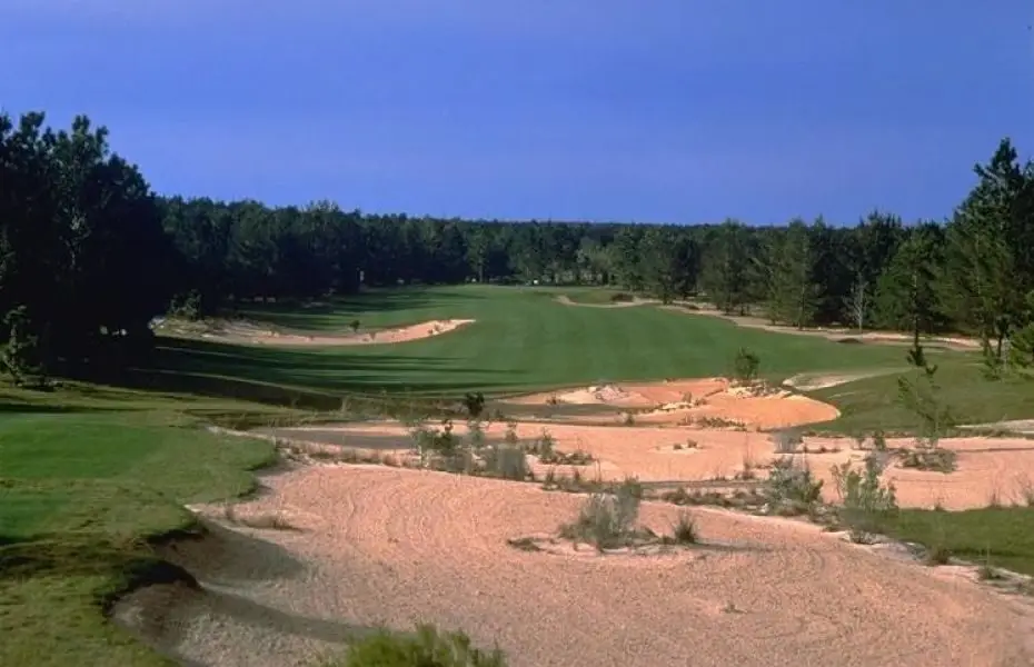 WORLDWOOD-NEW-1