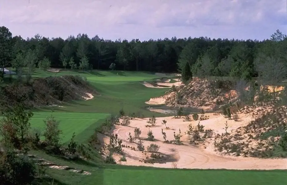 WORLDWOOD-NEW-3