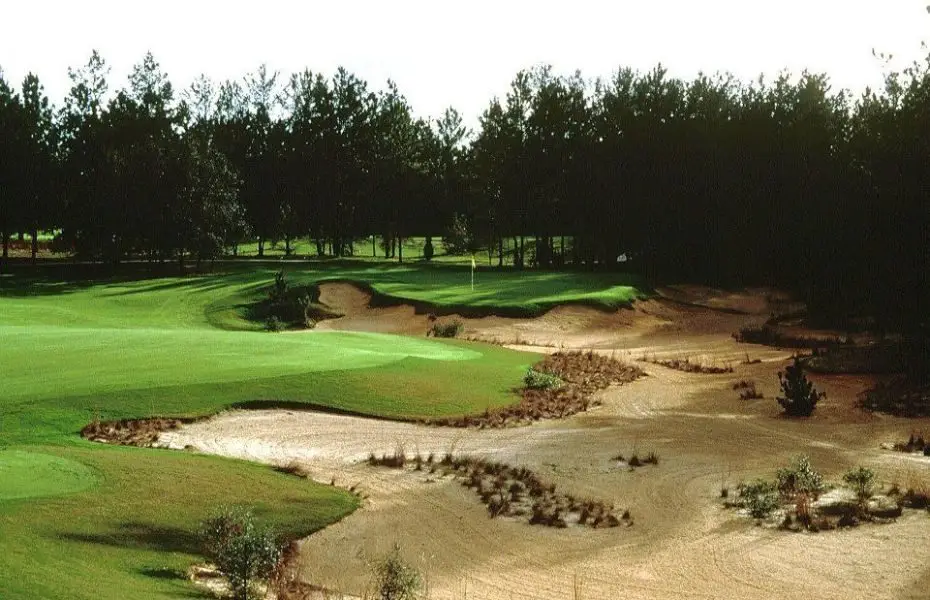 WORLDWOOD-NEW-4