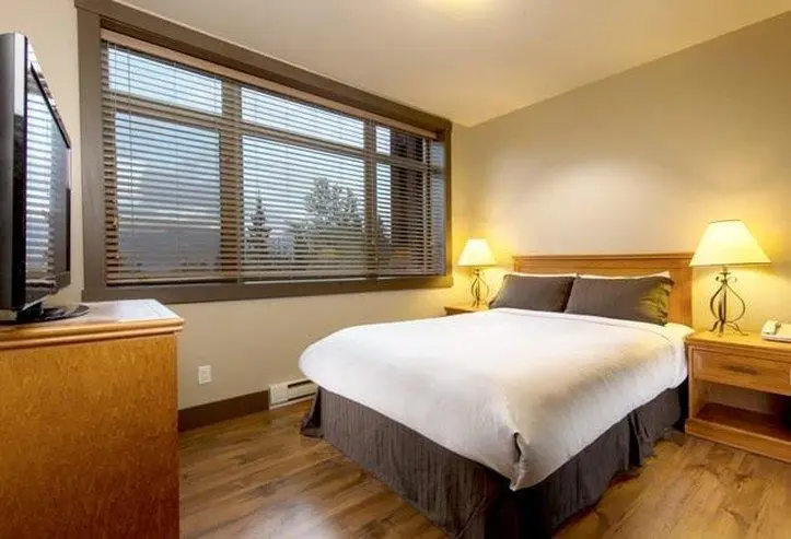 suite-2