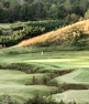 the-tradition-golf-club-at-brickshireDiapo1