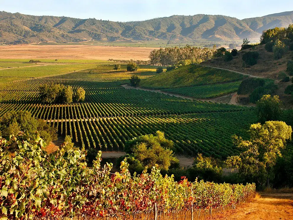 64_CasablancaValley_3