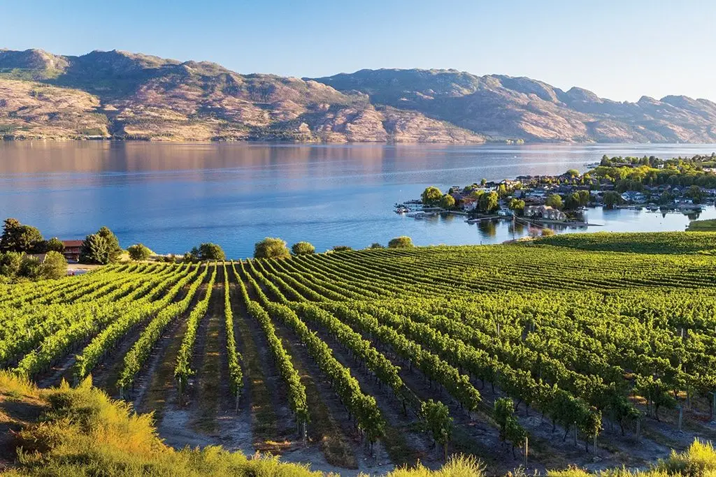 Colombie-Britannique_Kelowna_VignobleQuailsGate_LacOkanagan_1024x683