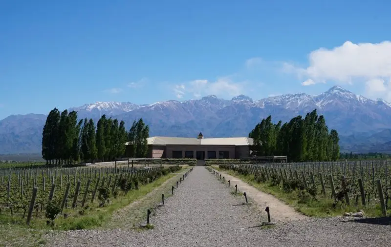 bodega-mendoza-e1547480022102