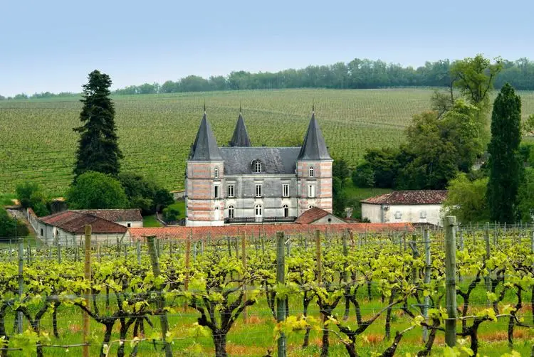 champagne-province-fd59a86a-5bb5-4bc2-8b50-cf378e956cc-resize-750