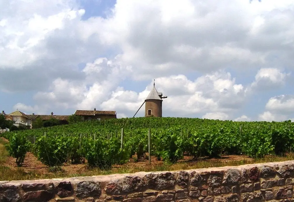 Moulin-AV-1