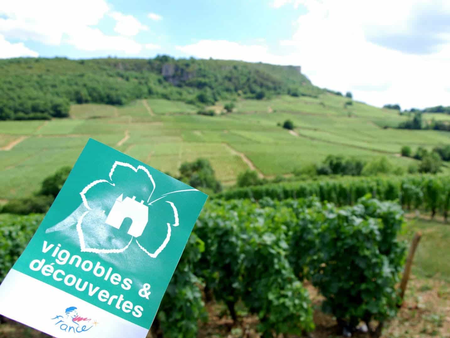 le-label-vignobles-et-decouvertes-avait-ete-attribue-au-maconnais-et-a-la-cote-chalonnaise-en-2014-photo-d-archives-jsl-johan-bozon-1638467528