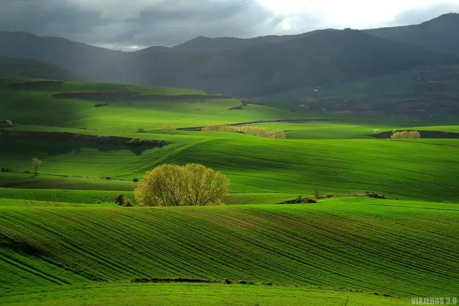 que-hacer-que-ver-en-la-rioja