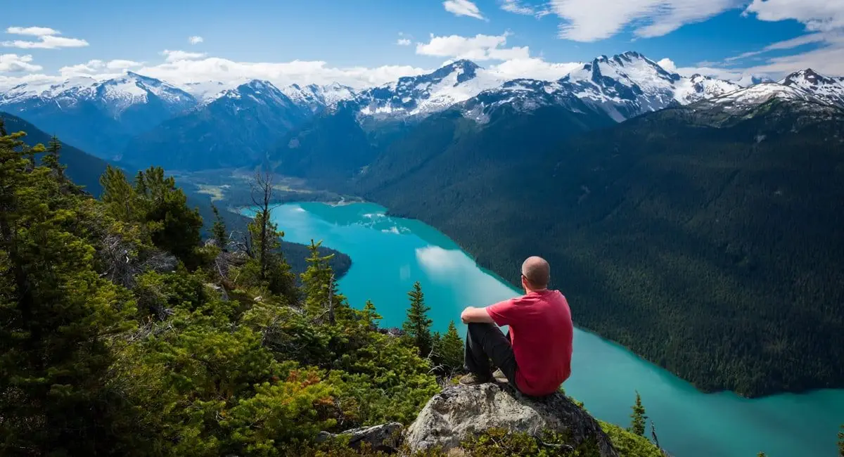 Whistler voyage