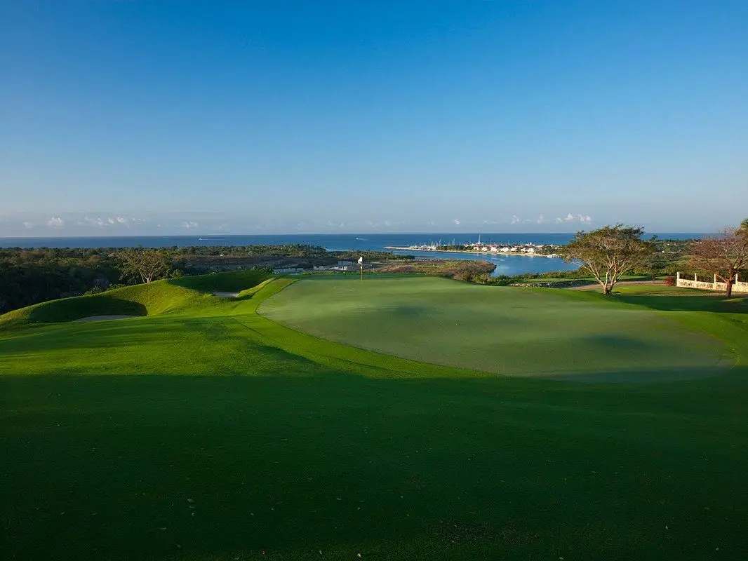 dye-fore-course