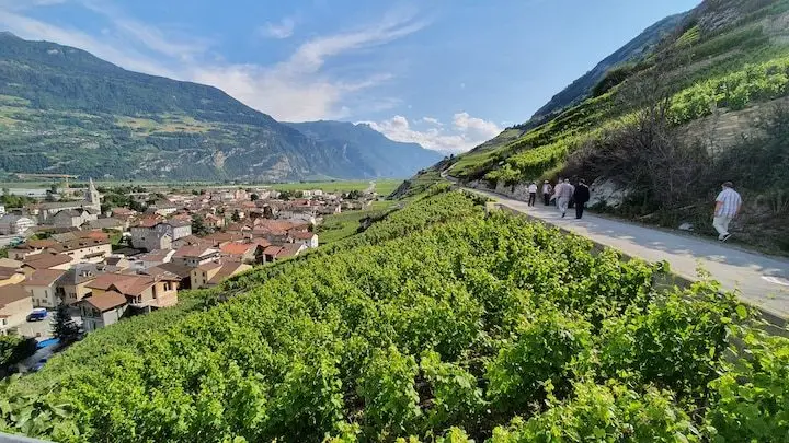 canton-de-valais-a-vetroz-andre-deyrieux-1800x760x1