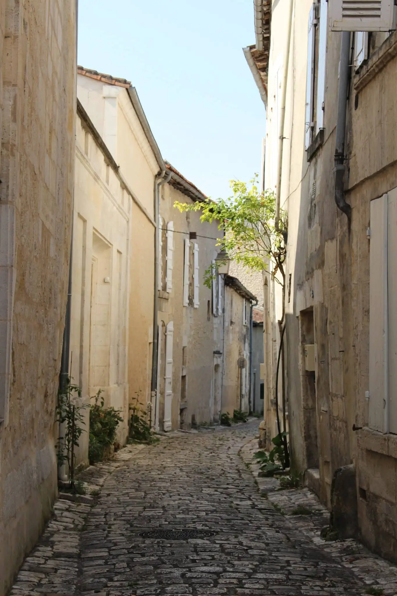 rue-henri-germain-cognac-2017