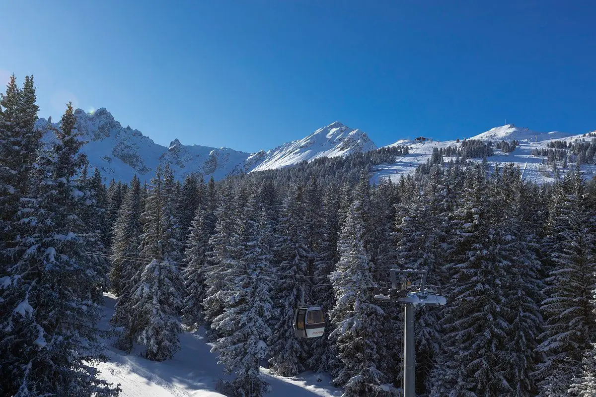 suite-lys-martagon-vue