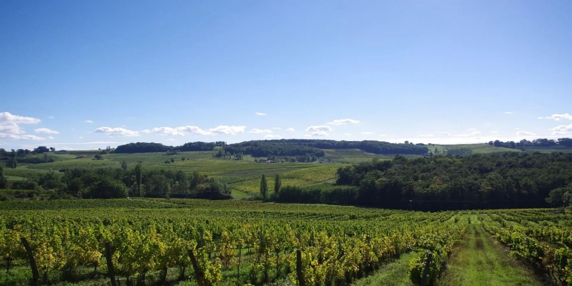 bergerac-et-ses-vins-8-1-1920x960