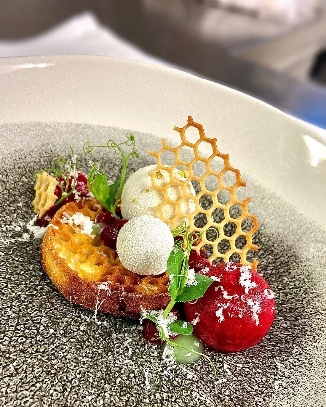 cr-gourmet