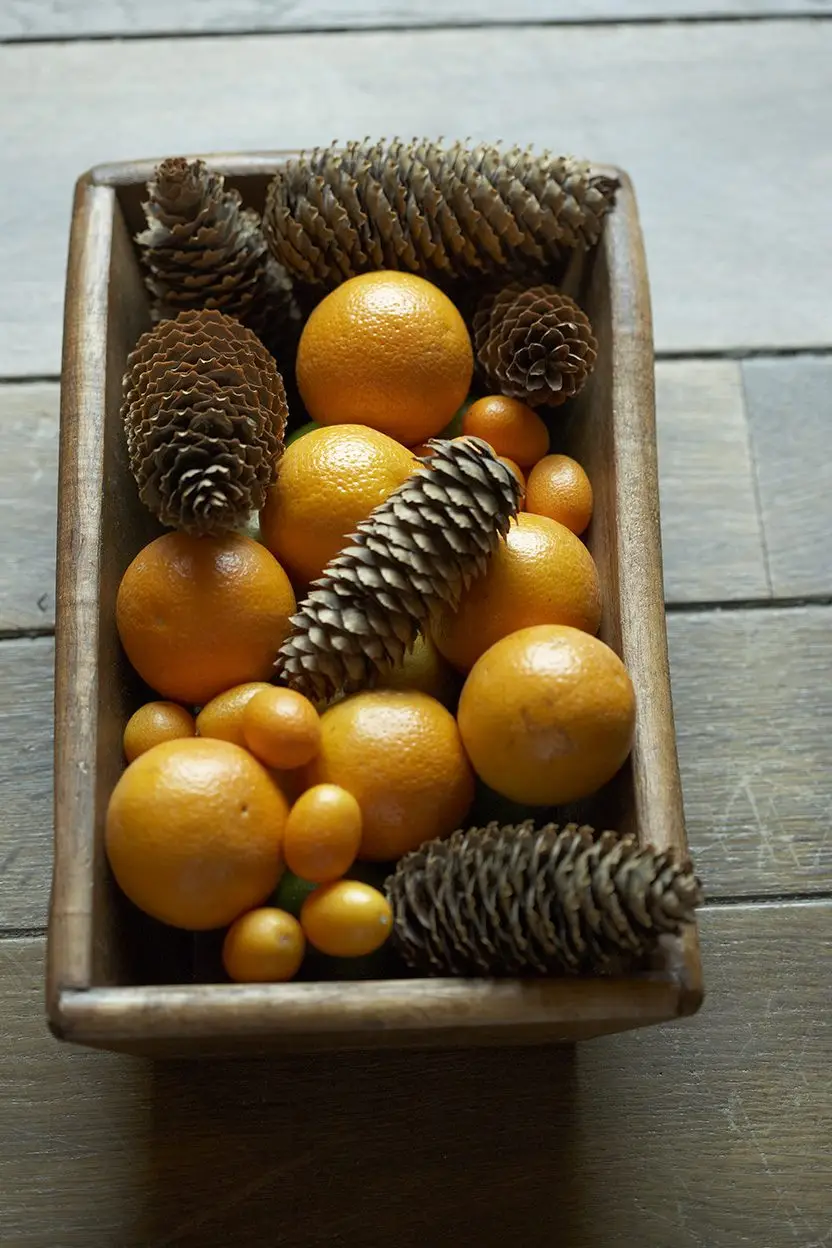 Fruit basket
