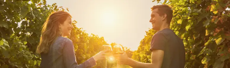 vignobles-groupe