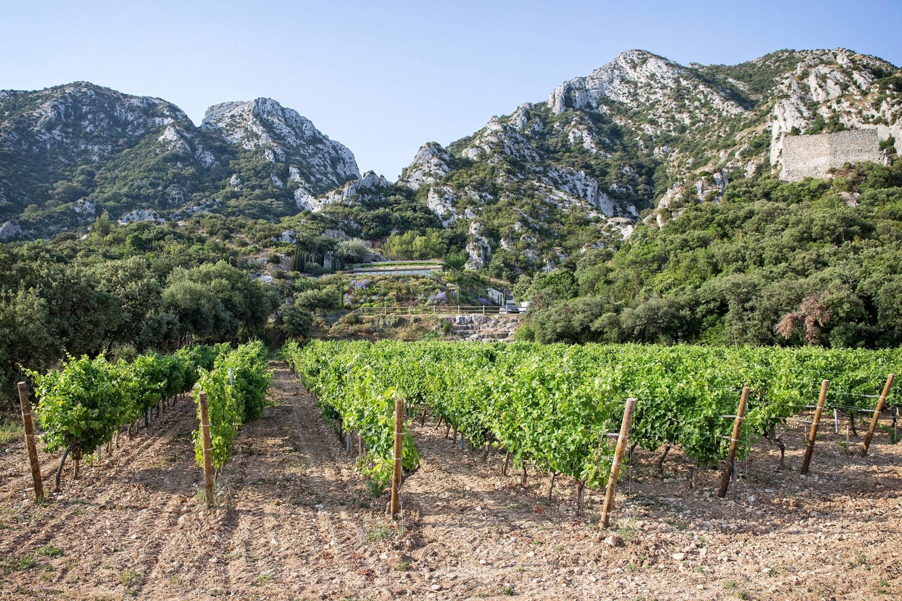 ®-ChateauRomanin-10-1800x1200