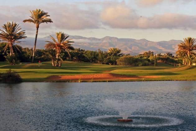 55d5e5d8f2879-le-soleil-7h0123