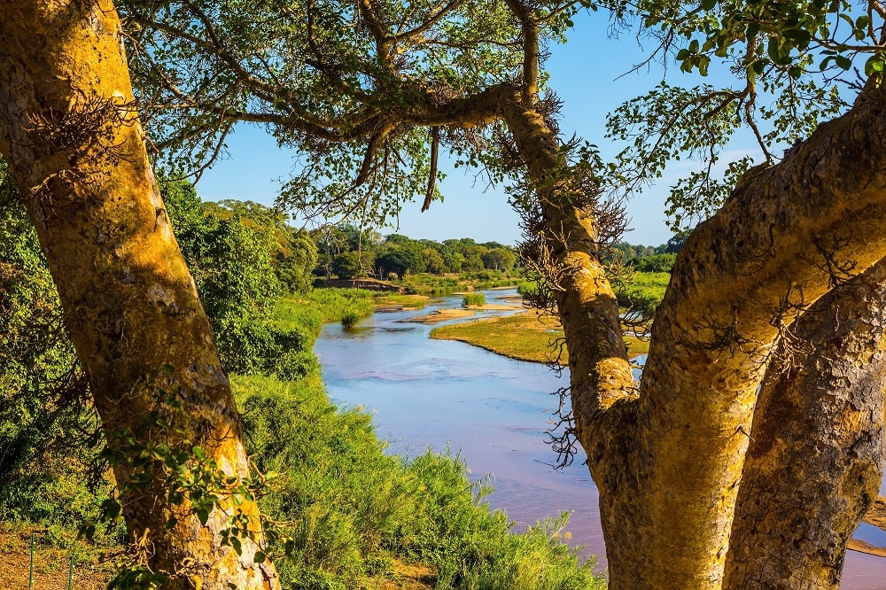 9.Why-Skukuza-is-still-South-Africas-Favourite-Rest-Camp