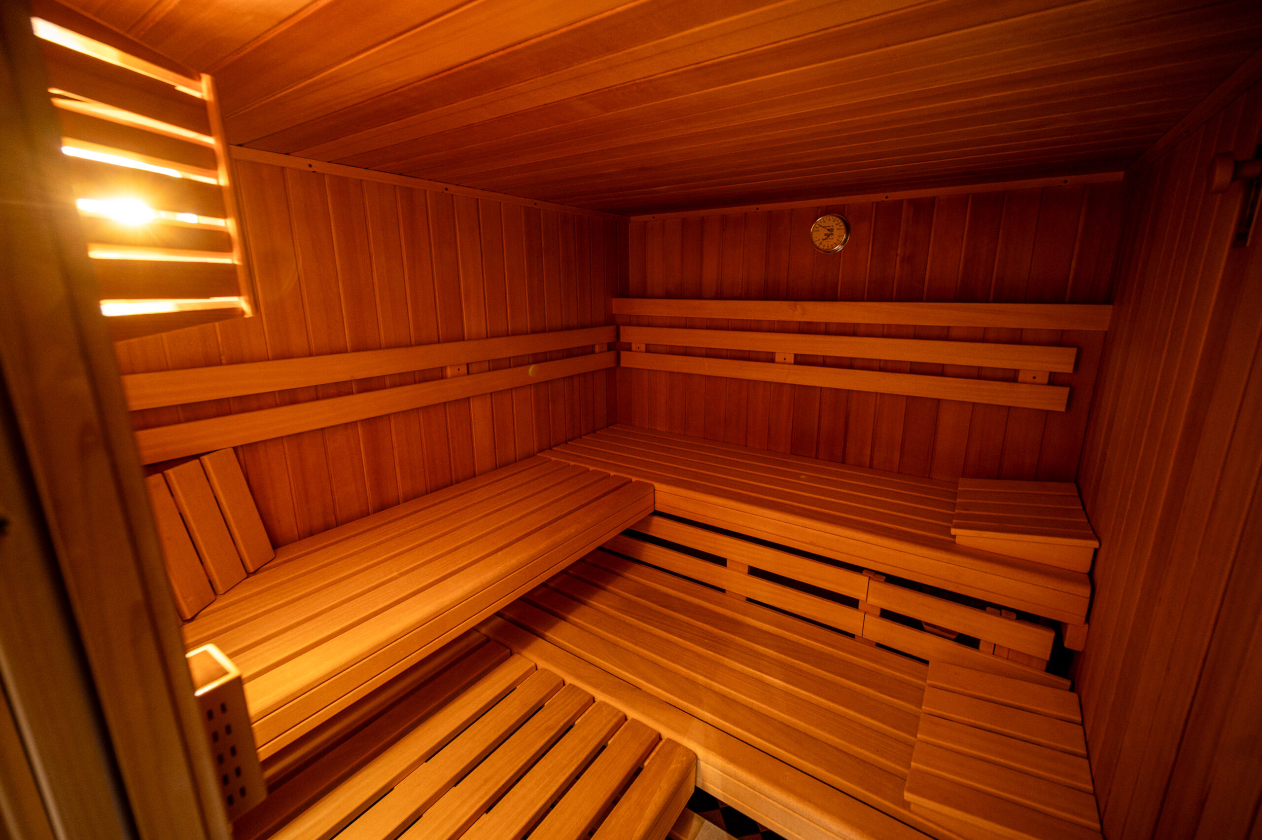 DSC_9395Alpenrose2025_by_Dietmar_Hurnaus_DachSauna