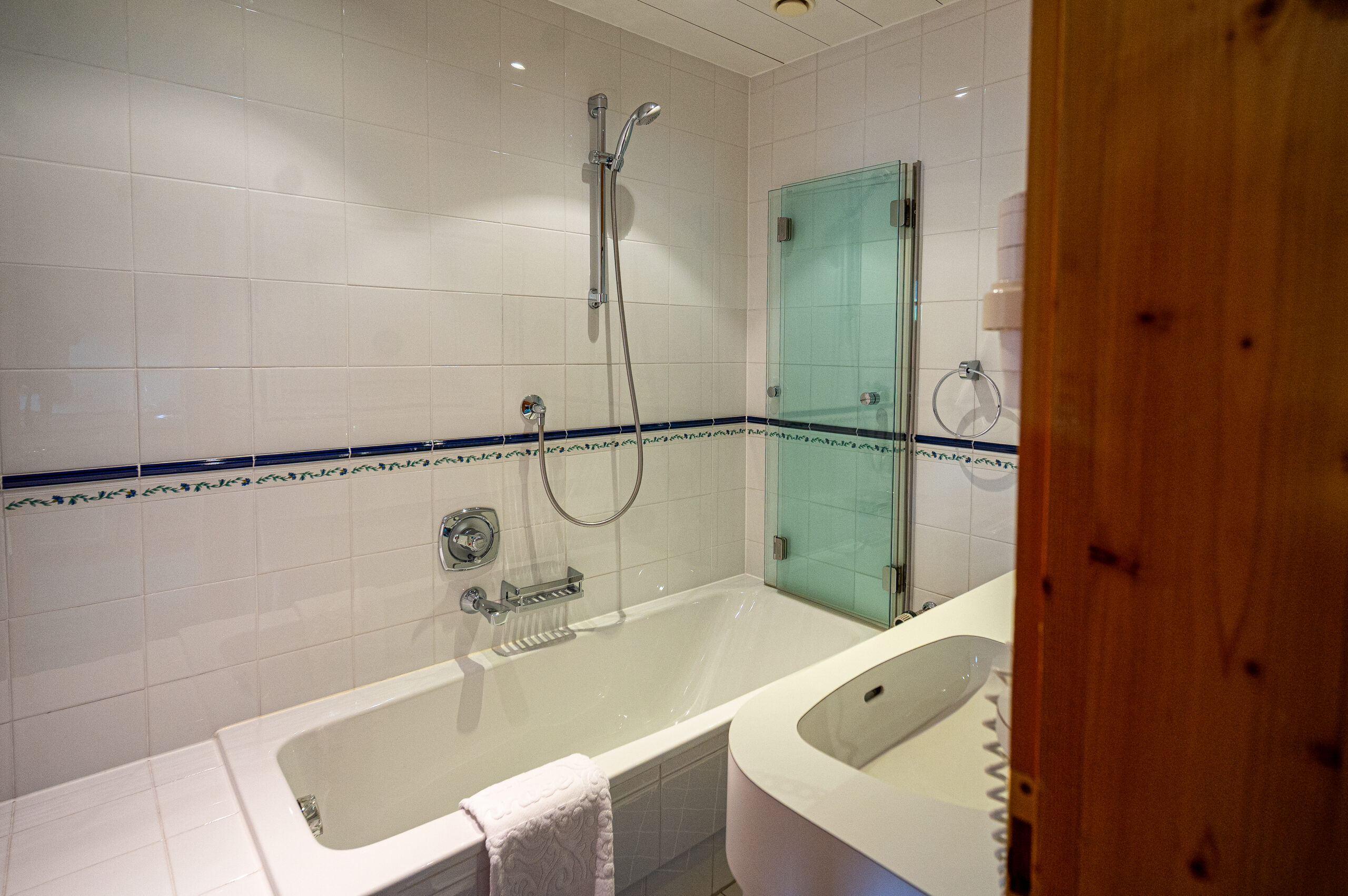 DSC_9416Alpenrose2025_by_Dietmar_Hurnaus_JuniorSuiteHeimat