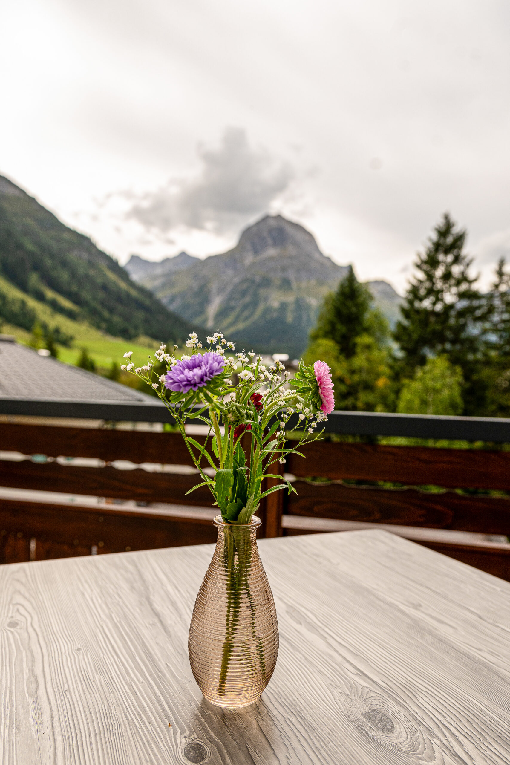 DSC_9502Alpenrose2025_by_Dietmar_Hurnaus_