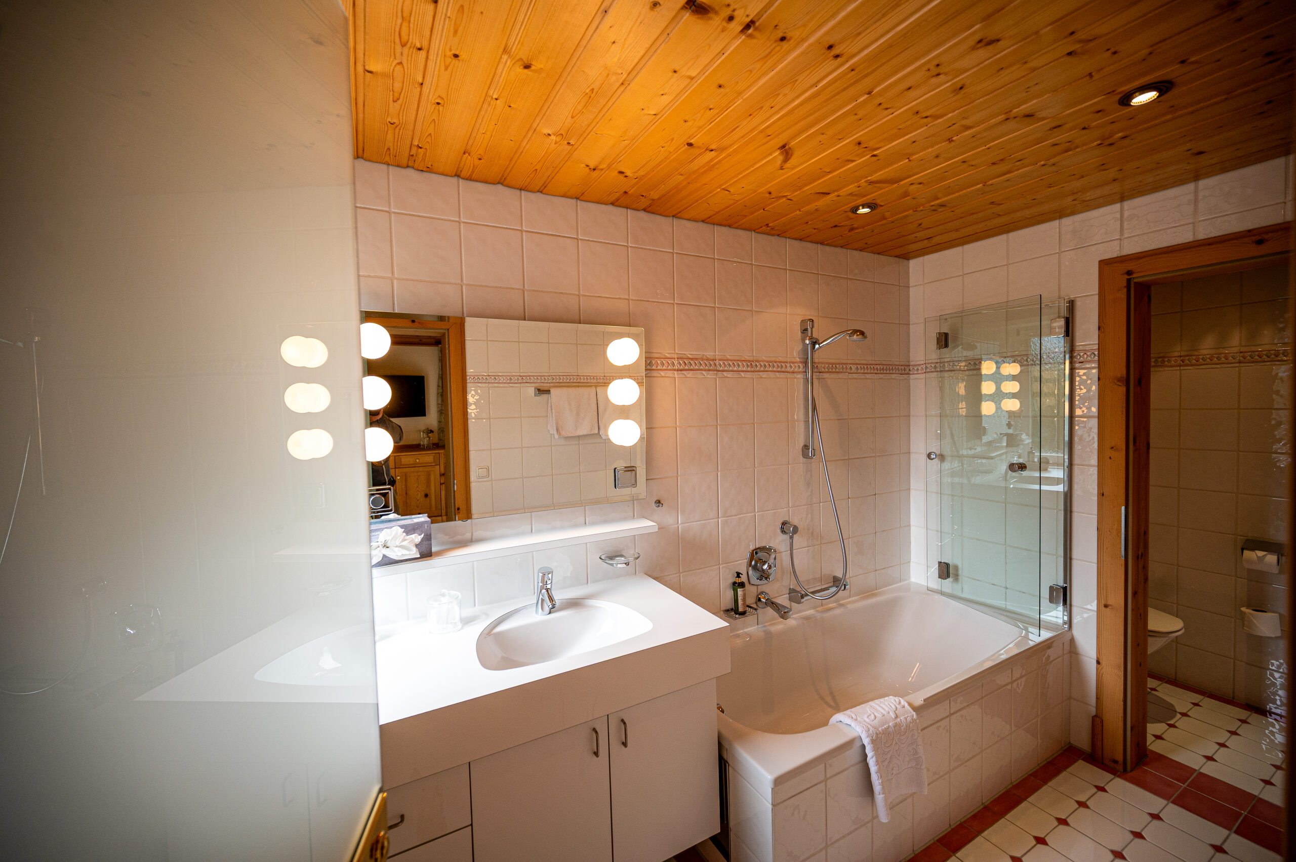 DSC_9618Alpenrose2025_by_Dietmar_Hurnaus_DZComfortBalkonOmeshorn