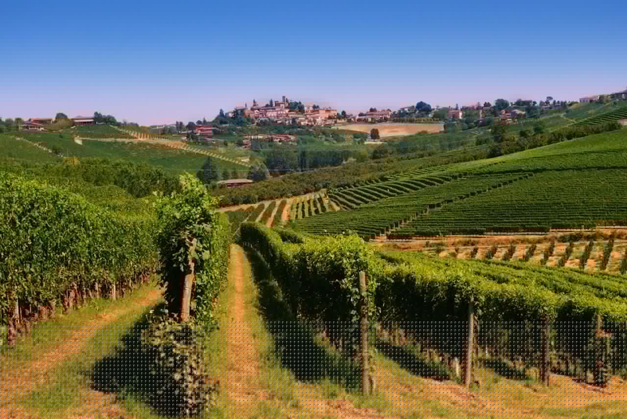 Rolling-Hill-Vineyards-with-the-Town-of-Neive-in-Background-Piedmont-Italy